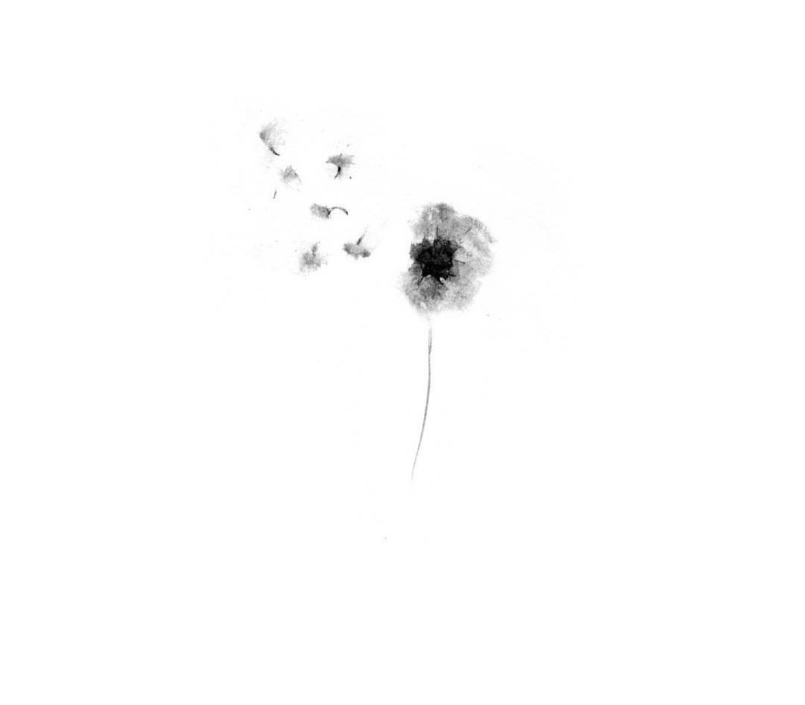 Black and white illustration of a dandelion on a white background